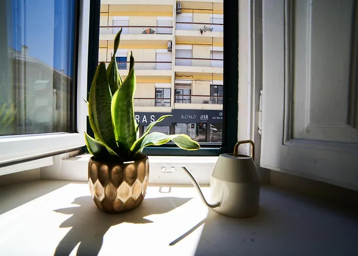 Baron Faro - Guest House